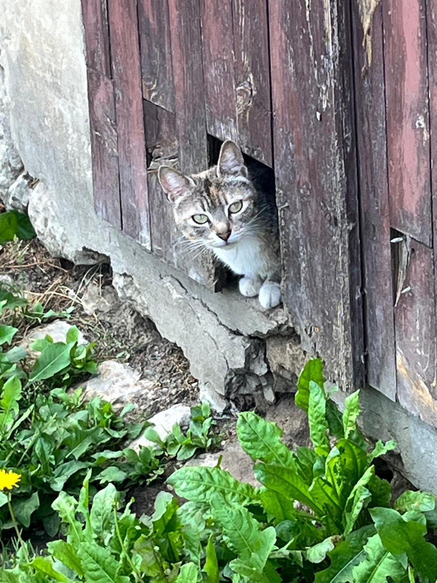Willa No 10 Vic Fezensac Vic-Fezensac Zewnętrze zdjęcie